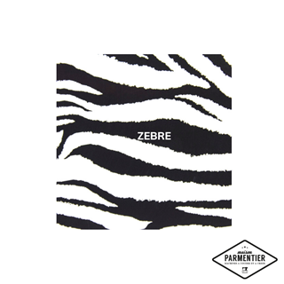 flex pose  fashion zebre Maison Parmentier -