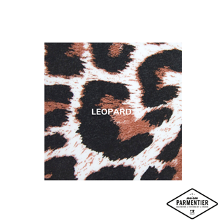flex pose  fashion leopard Maison Parmentier -
